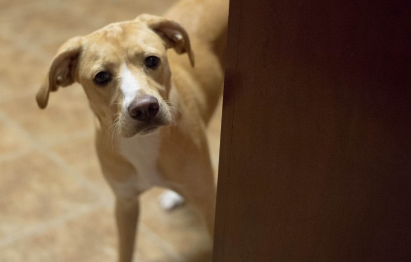 What are you&nbsp;cooking?